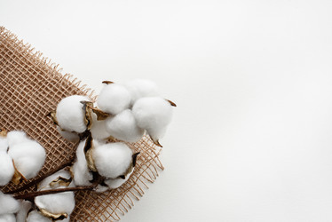 Similar image 21545807