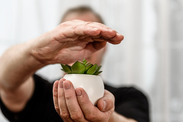 Similar image 21545812