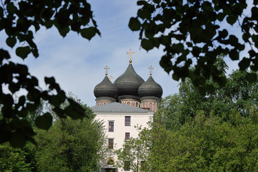 Similar image 21543887