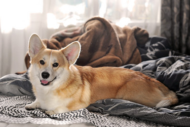 Similar image 21544111