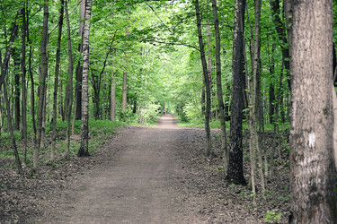 Similar image 21544118