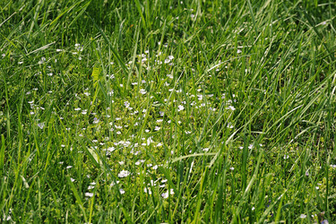 Similar image 21544305