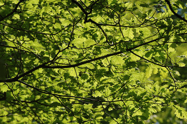 Similar image 21544353