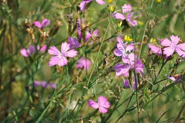 Similar image 21543107