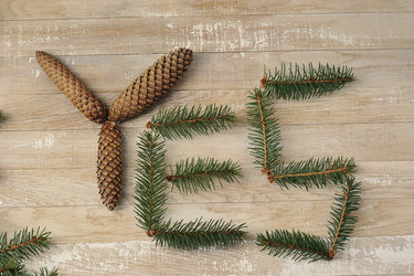 Similar image 21543295