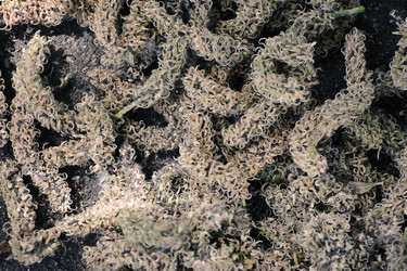 Similar image 21543299