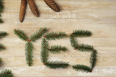 Similar image 21543301