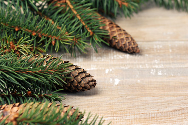 Similar image 21543305