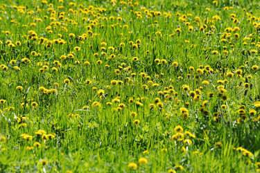 Similar image 21543306