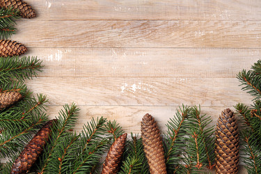 Similar image 21543502