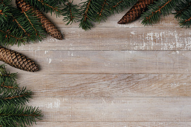 Similar image 21543504