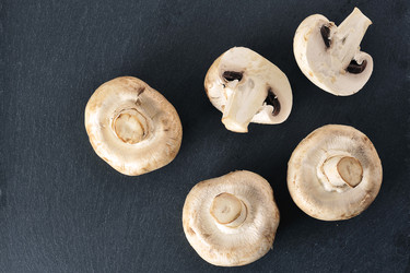 Similar image 21543521