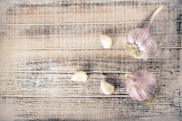 Similar image 21543699