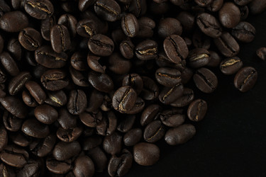 Similar image 21543719