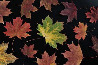 Similar image 21543721