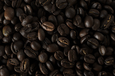 Similar image 21543894