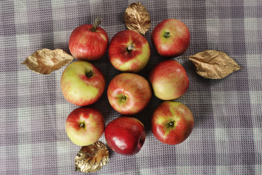 Similar image 21543896