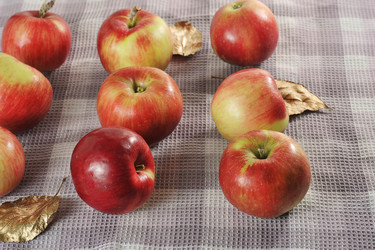 Similar image 21543898