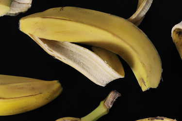 Similar image 21543902