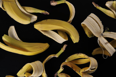 Similar image 21543903