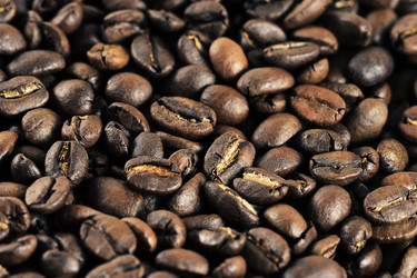 Similar image 21543905