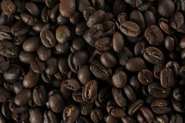 Similar image 21543911