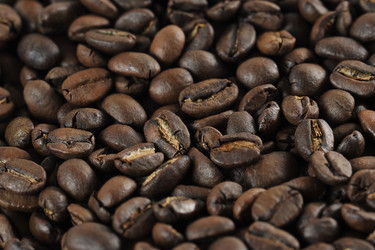 Similar image 21544139