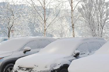 Similar image 21543135