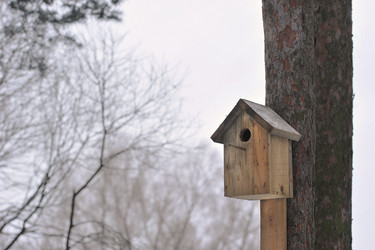 Similar image 21543156