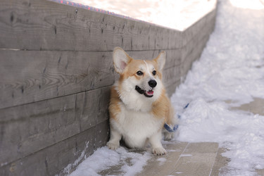 Similar image 21543317