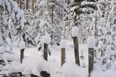 Similar image 21543528