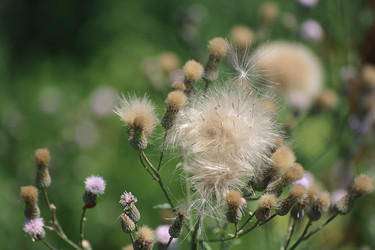 Similar image 21543532