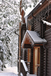 Similar image 21543534