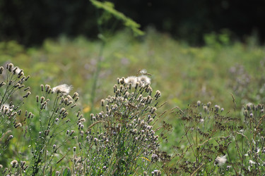 Similar image 21543536