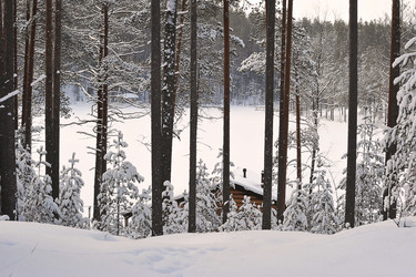 Similar image 21543541