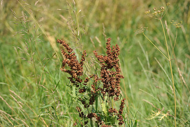 Similar image 21543542