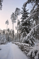 Similar image 21543546