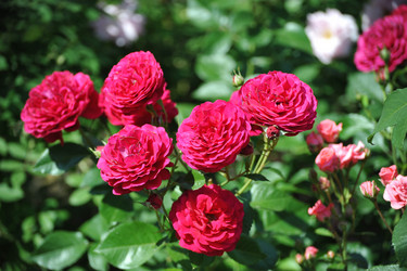 Similar image 21543946