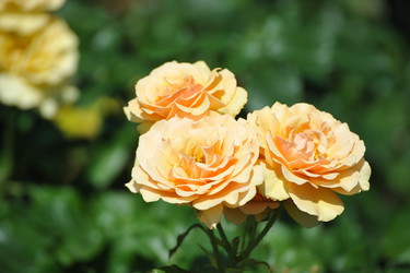 Similar image 21543951