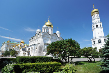 Similar image 21543958