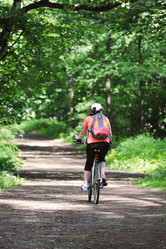 Similar image 21543327