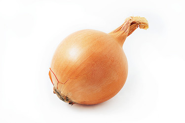 Similar image 21543764