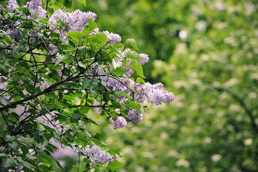 Similar image 21543774