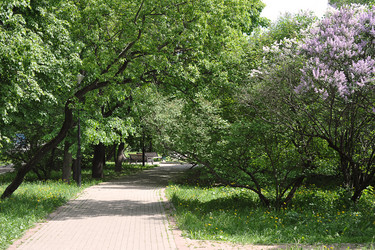 Similar image 21543779