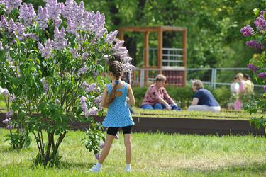 Similar image 21543789