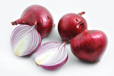 Similar image 21543790