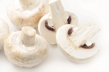 Similar image 21543962