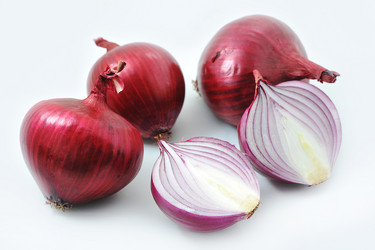 Similar image 21543971