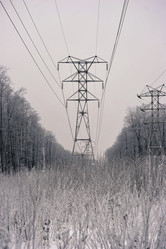 Similar image 21544327