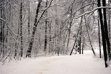 Similar image 21544411